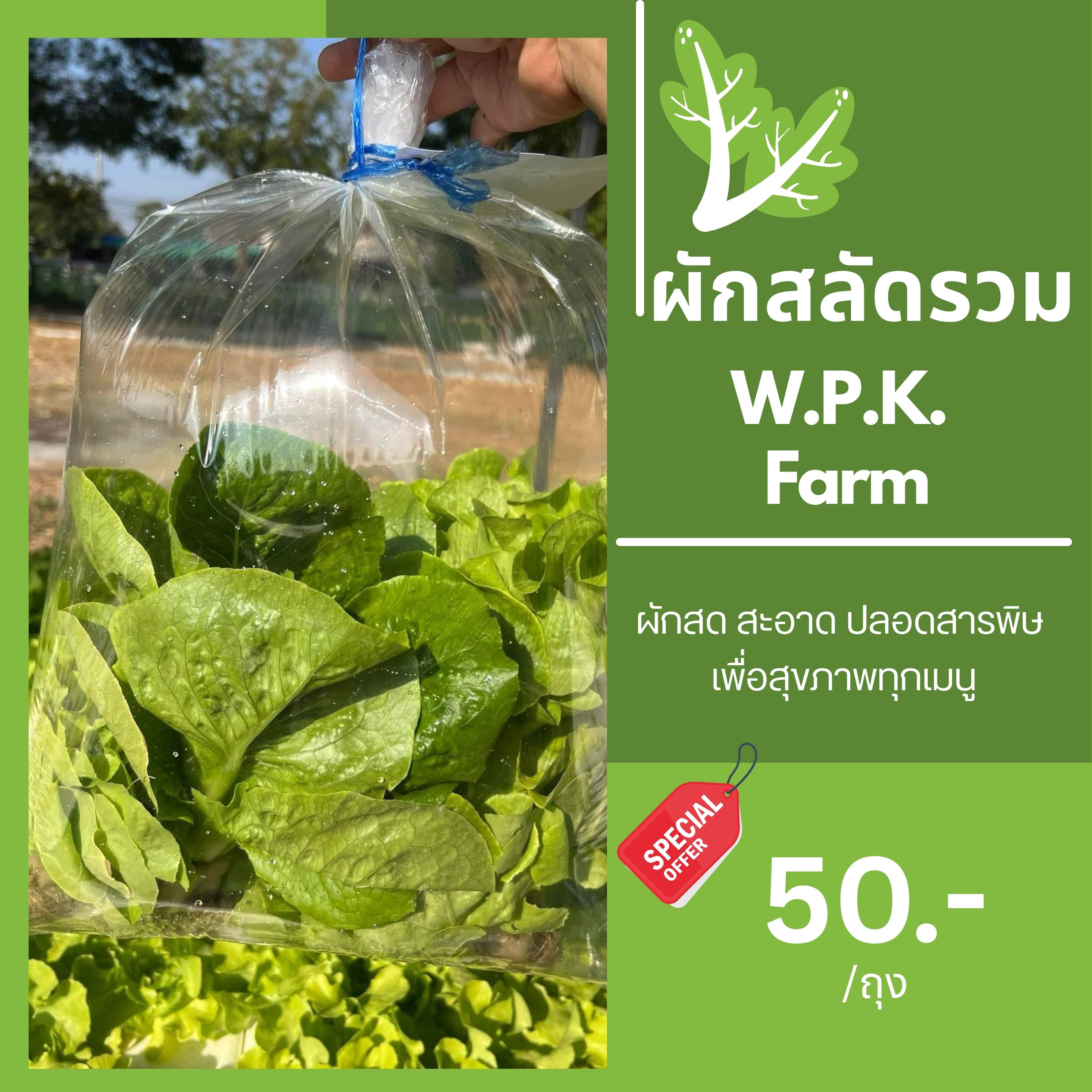 ผักสลัดรวม