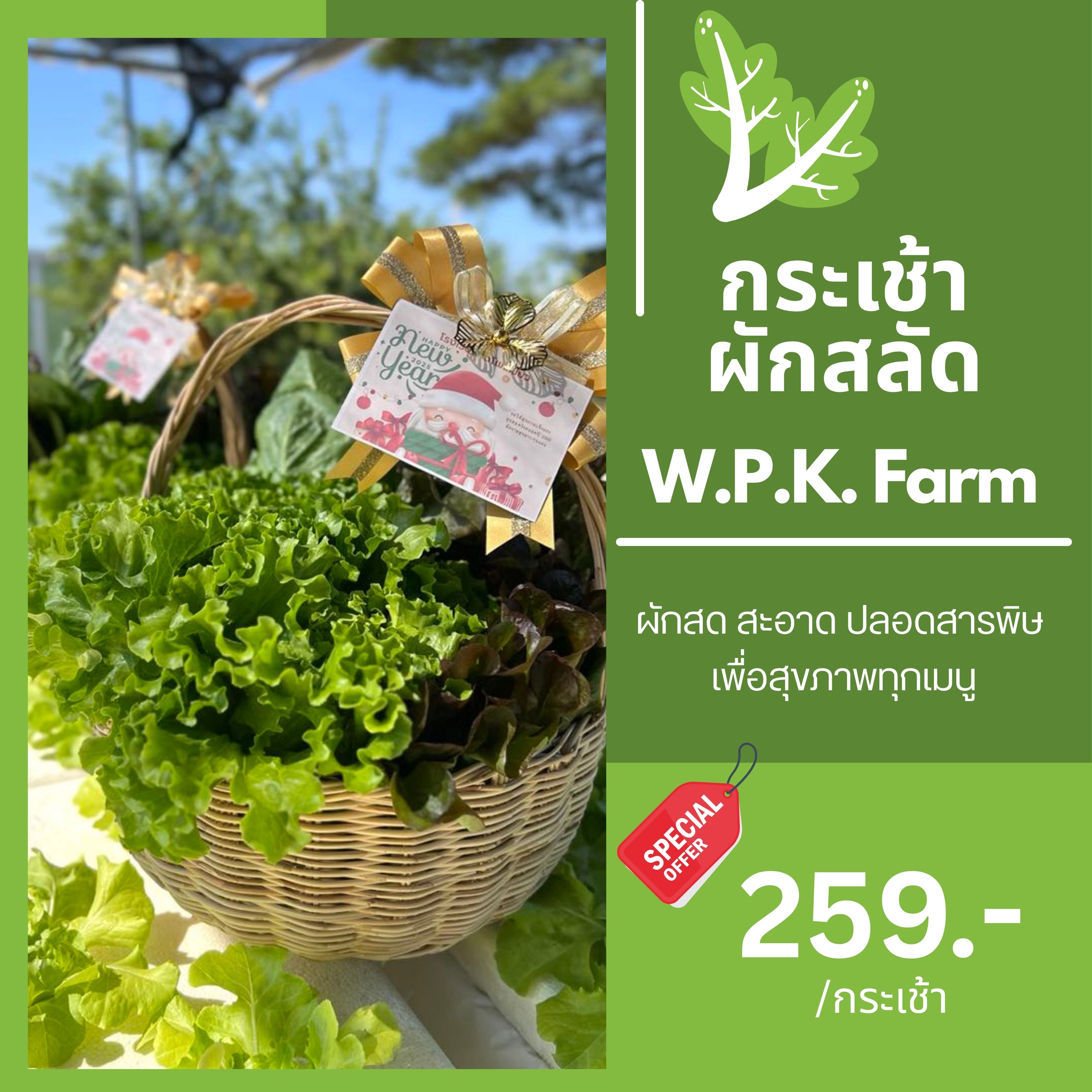 กระเช้าผักสลัด