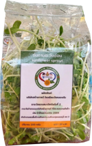 ต้นทานตะวันอ่อน